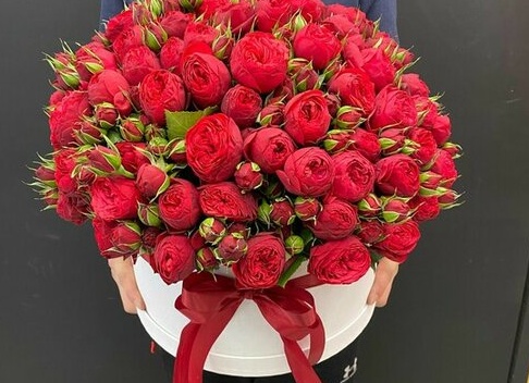Розы на Рижском рынке. Какие они, сколько стоят и почему?