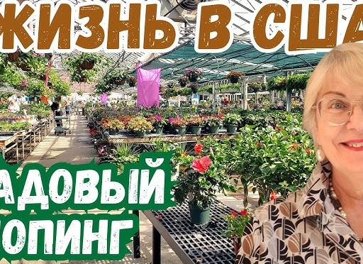 К каким ценам на цветы к 8 Марта готовиться российским мужчинам?