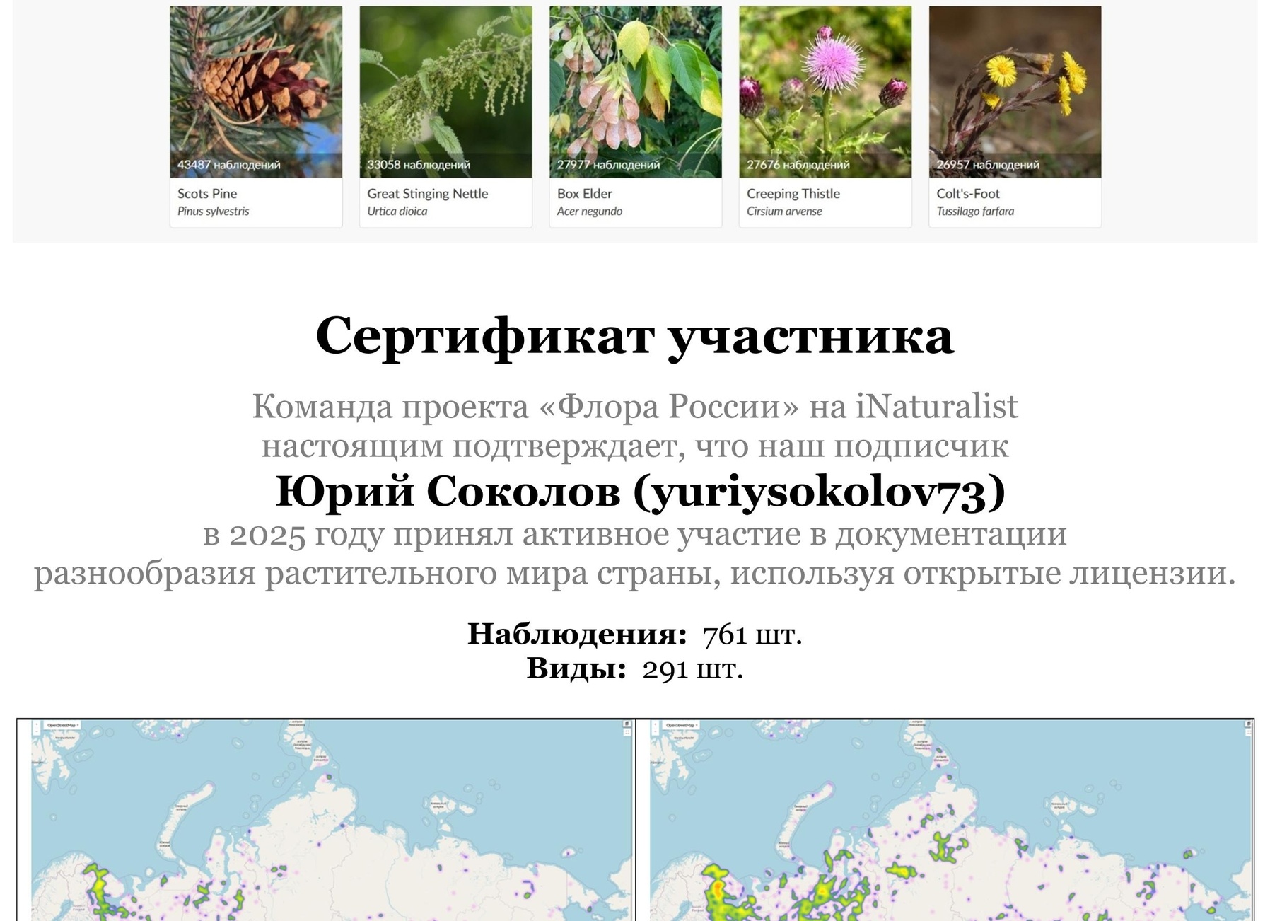 Яндекс Карты сообщили о сокращении числа цветочных магазинов в Москве