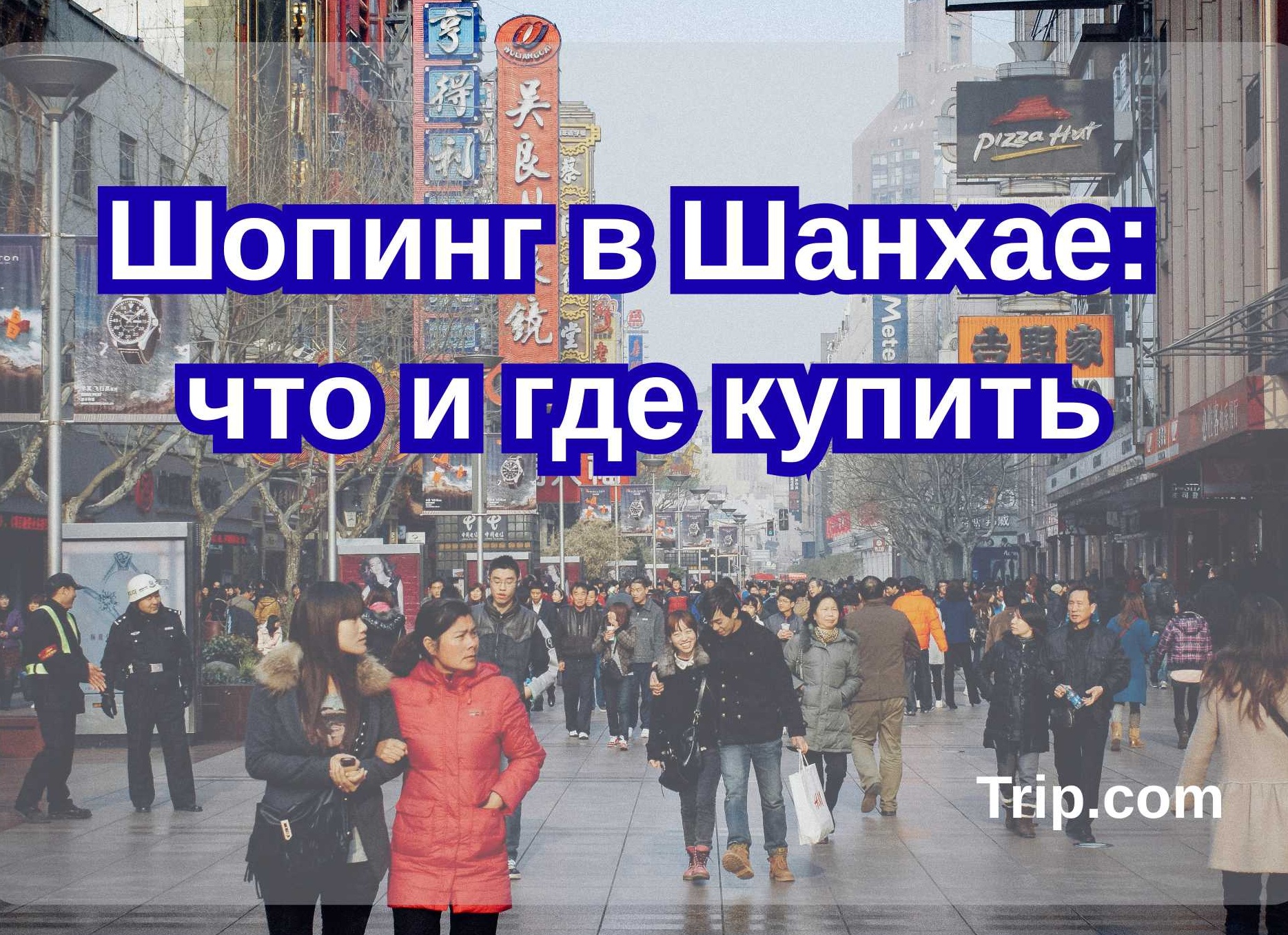 Цветочный магазин 2026: аромат денег или запах увядания?
