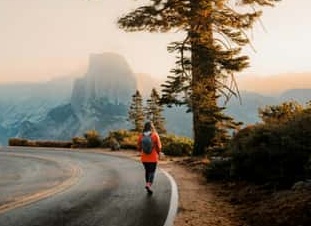 Беги Лес, беги. Обзор пива Run, Forrest!</p>
<p>которое загружали в хмелевую ракету!